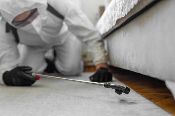 Professional Bed Bug Control technician working in Murfreesboro, NC