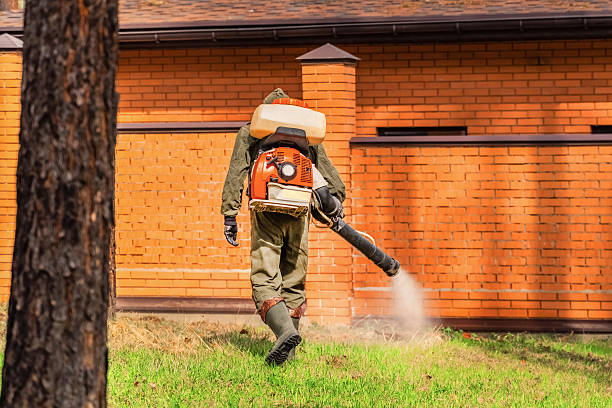 Top rated local Bed Bug Control specialists in Murfreesboro, NC
